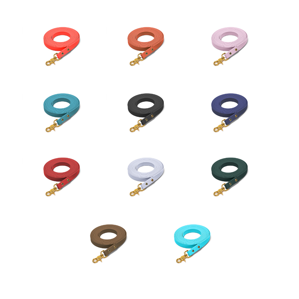 BioThane Schleppleinen goldene Beschläge HUNDert Prozent Hundezubehör funktional wasserfest