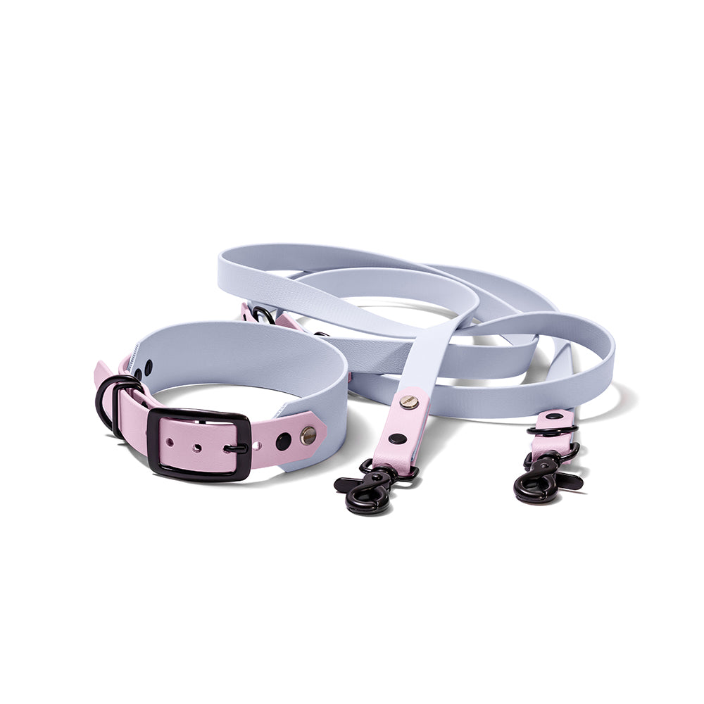 BioThane Set Flieder Hellblau Hundert Prozent Schwarz