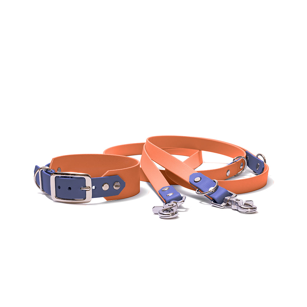 BioThane Set hellbraun dunkelblau wasserfest modern Hundert Prozent Hundezubehör