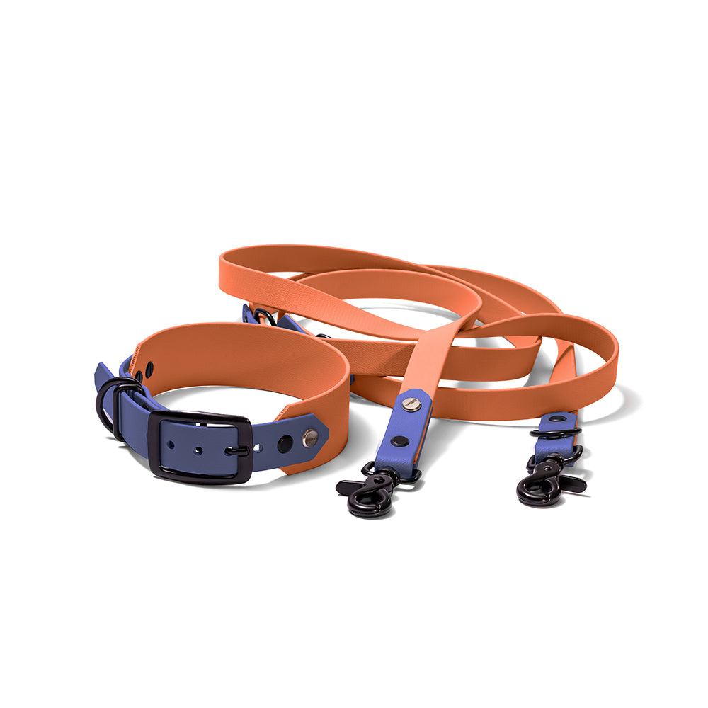 BioThane Set hellbraun dunkelblau wasserfest modern Hundert Prozent Hundezubehör