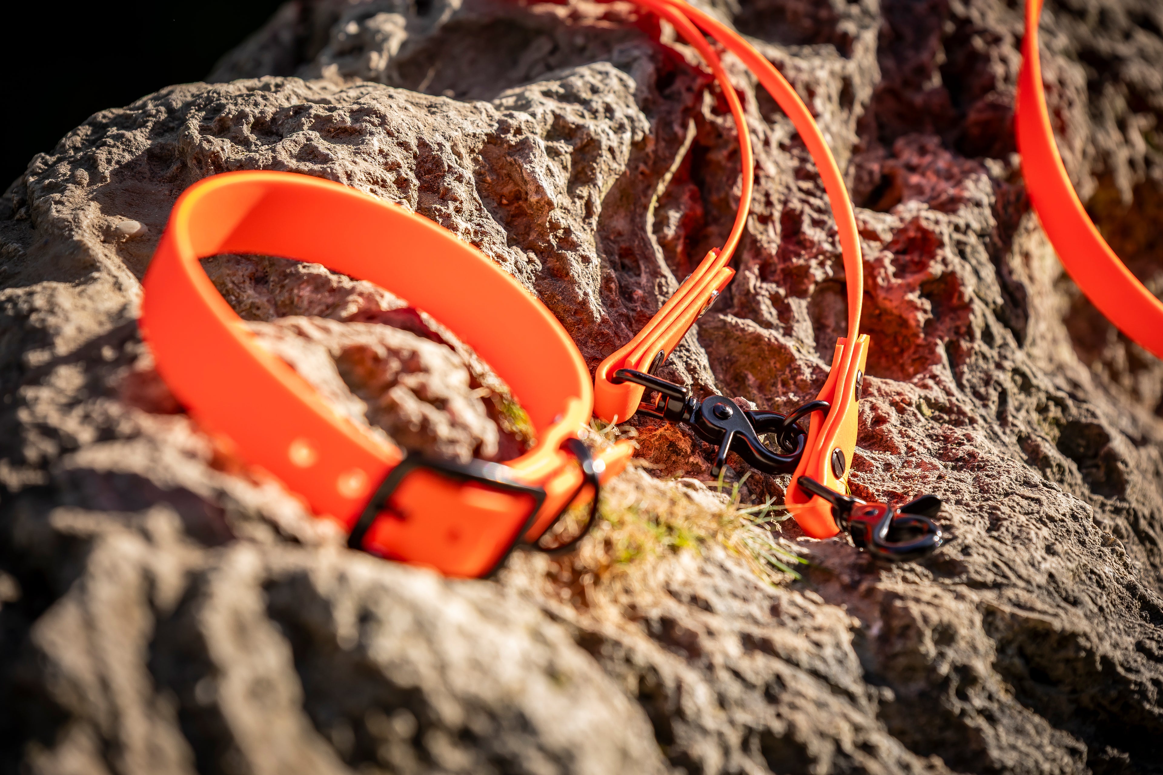 Neon Biothane Halsband Leine Set Hundert Prozent