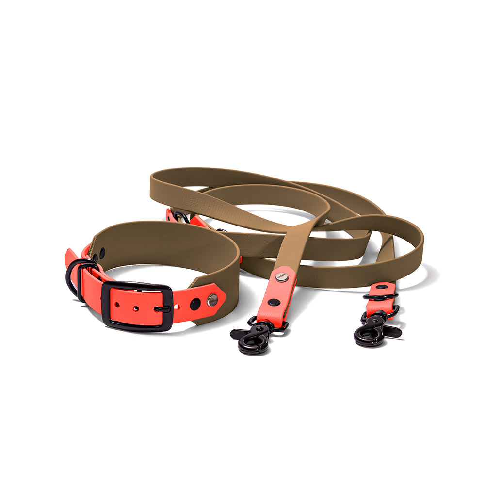Zweifarbiges BioThane Set Neon Orange Olivgrün wasserfest modern Hundert Prozent Hundezubehör Schwarz