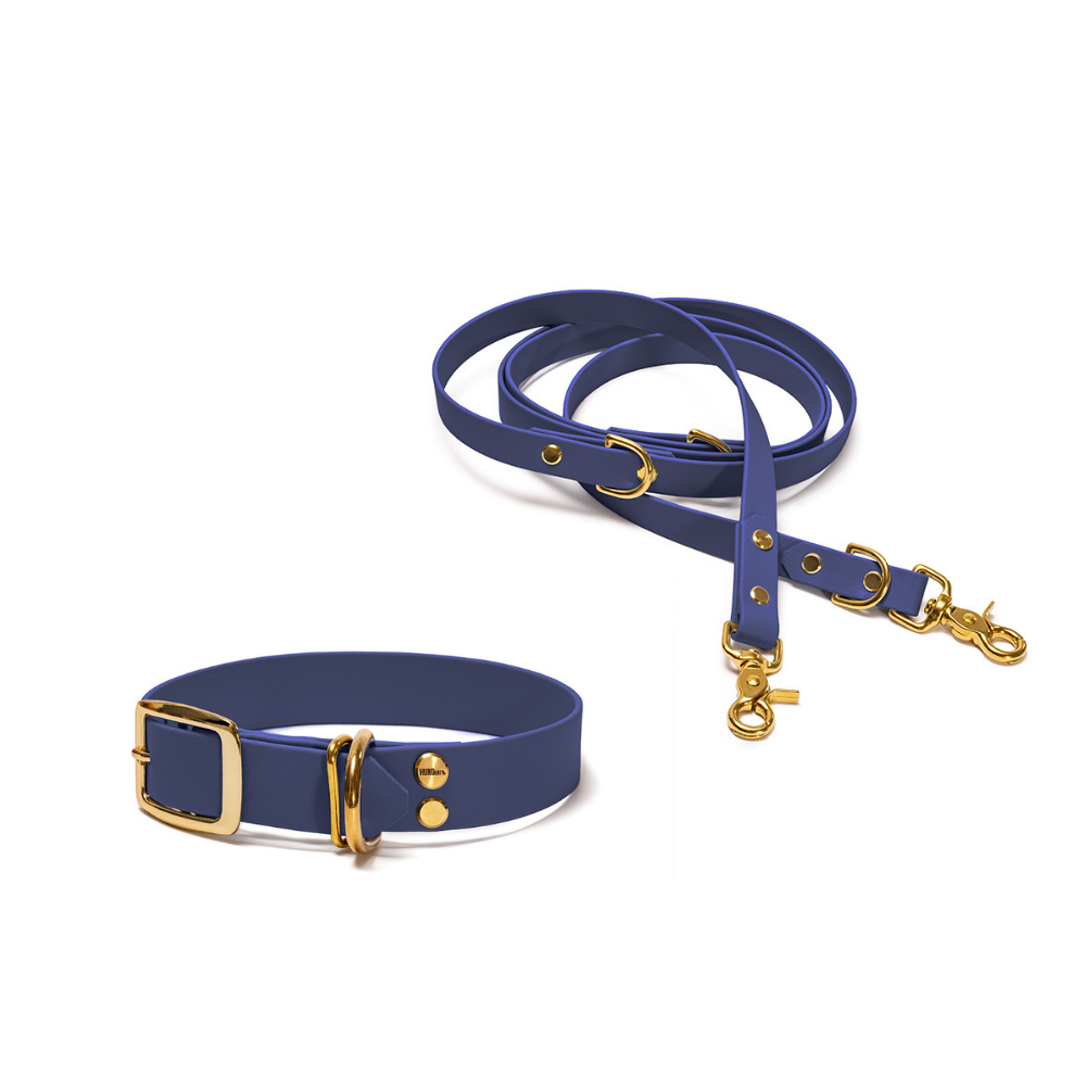Halsband 25mm und verstellbare Hundeleine 16mm + 19mm aus BioThane in Dunkelblau – Modell Atlantik, robust, 100% wasserfest und pflegeleicht, von Hundert Prozent, mit Beschlägen in Gold