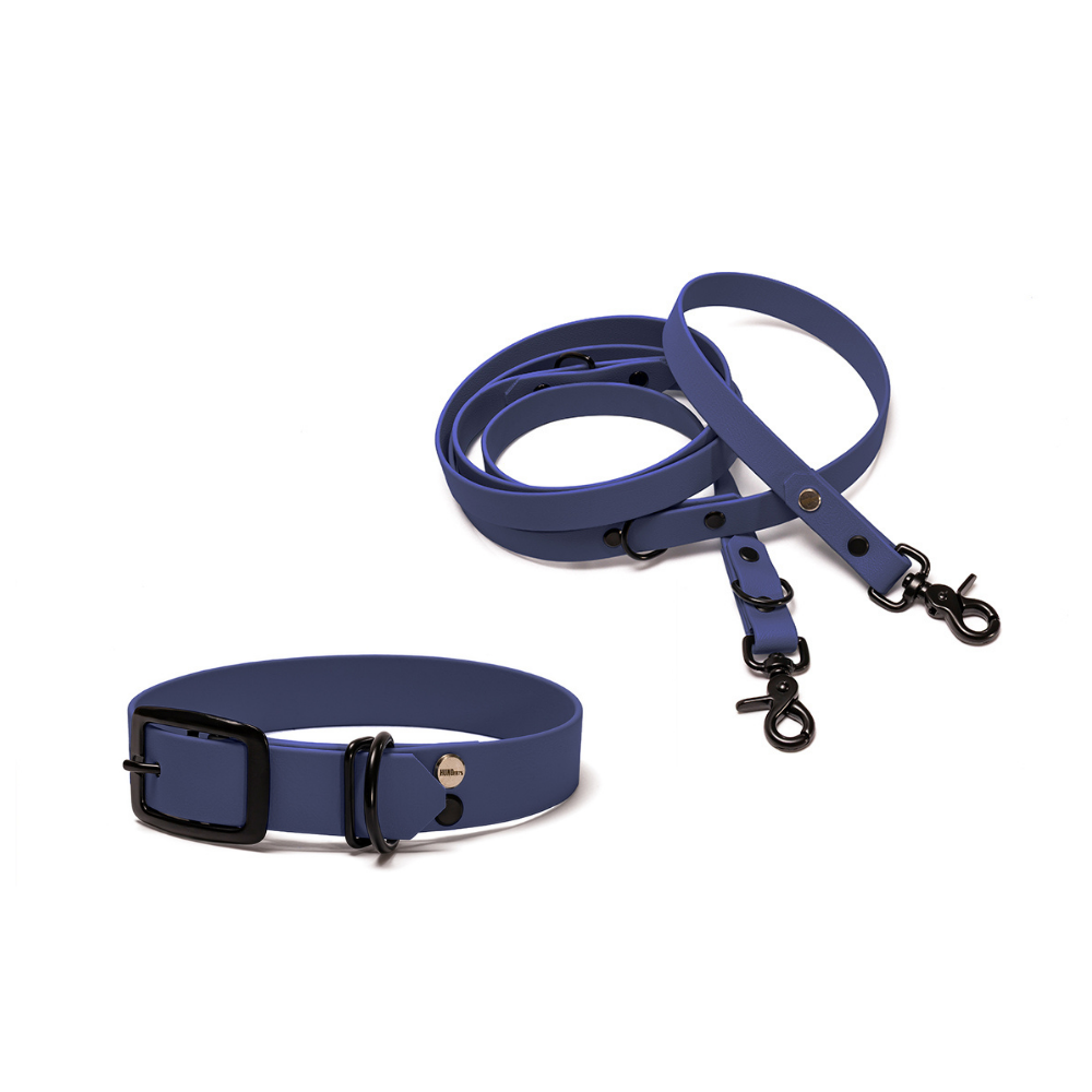 Halsband 25mm und verstellbare Hundeleine 16mm + 19mm aus BioThane in Dunkelblau – Modell Atlantik, robust, 100% wasserfest und pflegeleicht, von Hundert Prozent, mit Beschlägen in Schwarz