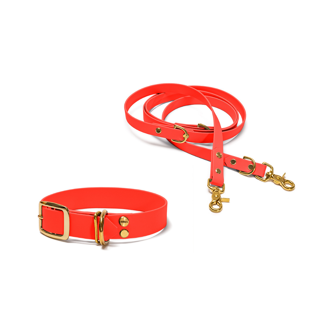 Halsband 25mm und verstellbare Hundeleine 16mm + 19mm aus BioThane in Orange – Modell Feuerfunke, robust, 100% wasserfest und pflegeleicht, von Hundert Prozent, mit Beschlägen in Gold
