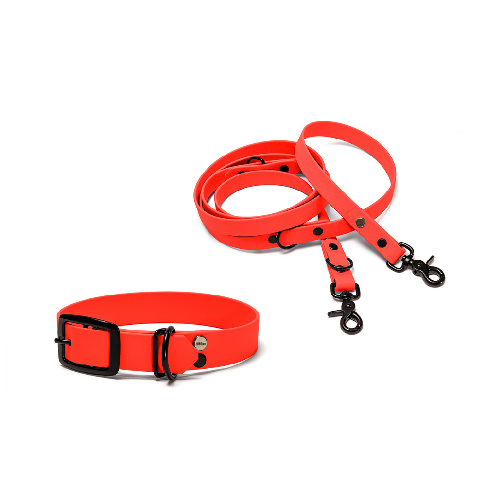 Halsband 25mm und verstellbare Hundeleine 16mm + 19mm aus BioThane in Orange – Modell Feuerfunke, robust, 100% wasserfest und pflegeleicht, von Hundert Prozent, mit Beschlägen in Schwarz