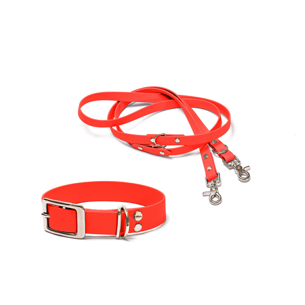 Halsband 25mm und verstellbare Hundeleine 16mm + 19mm aus BioThane in Orange – Modell Feuerfunke, robust, 100% wasserfest und pflegeleicht, von Hundert Prozent, mit Beschlägen in Silber