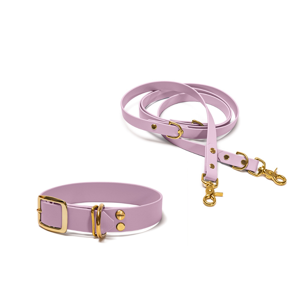 Halsband 25mm und verstellbare Hundeleine 16mm + 19mm aus BioThane in Flieder – Modell Fliederwolke, robust, 100% wasserfest und pflegeleicht, von Hundert Prozent, mit Beschlägen in Gold