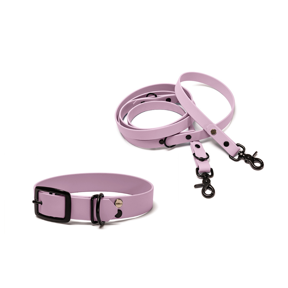 Halsband 25mm und verstellbare Hundeleine 16mm + 19mm aus BioThane in Flieder – Modell Fliederwolke, robust, 100% wasserfest und pflegeleicht, von Hundert Prozent, mit Beschlägen in Schwarz