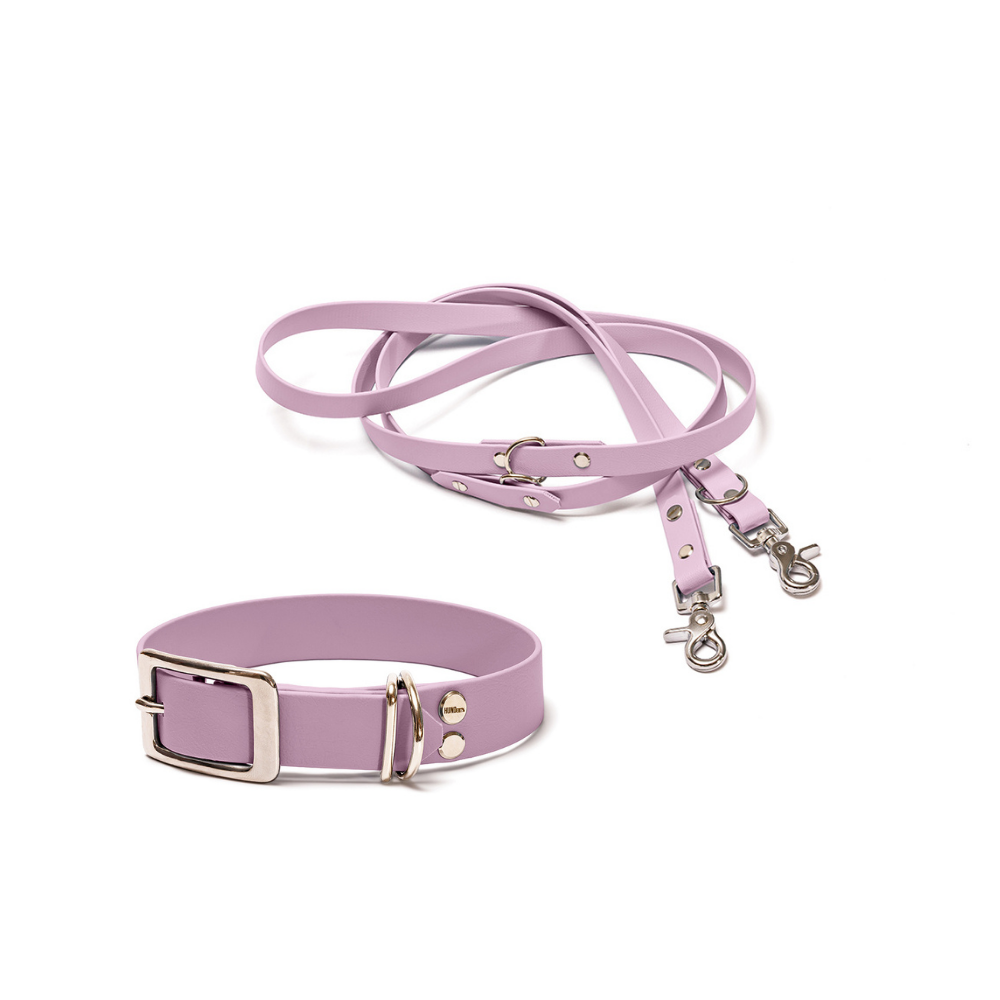 Halsband 25mm und verstellbare Hundeleine 16mm + 19mm aus BioThane in Flieder – Modell Fliederwolke, robust, 100% wasserfest und pflegeleicht, von Hundert Prozent, mit Beschlägen in Silber