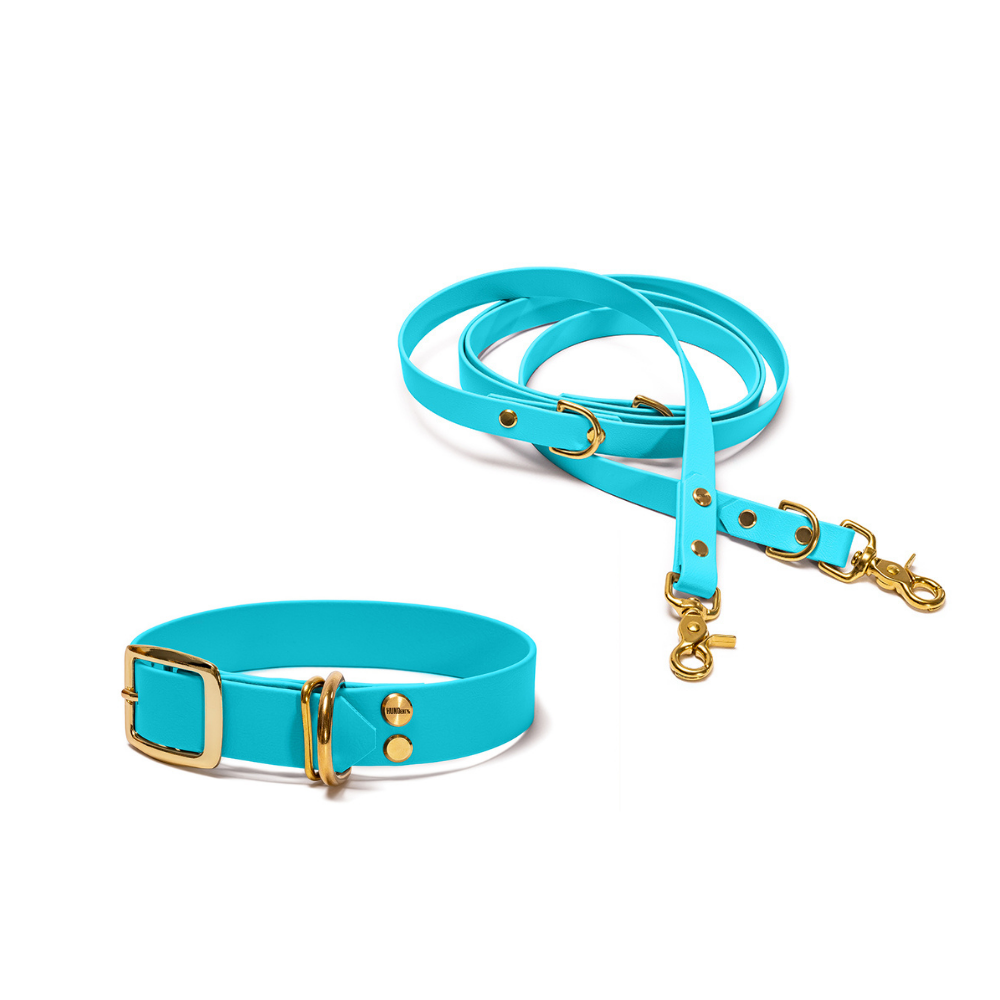 Halsband 25mm und verstellbare Hundeleine 16mm + 19mm aus BioThane in Hellblau – Modell Himmel, robust, 100% wasserfest und pflegeleicht, von Hundert Prozent, mit Beschlägen in Gold