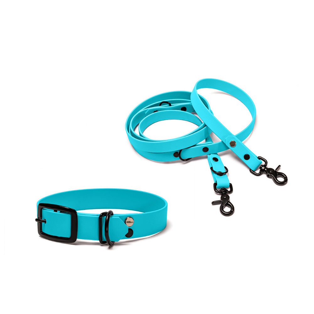 Halsband 25mm und verstellbare Hundeleine 16mm + 19mm aus BioThane in Hellblau – Modell Himmel, robust, 100% wasserfest und pflegeleicht, von Hundert Prozent, mit Beschlägen in Schwarz