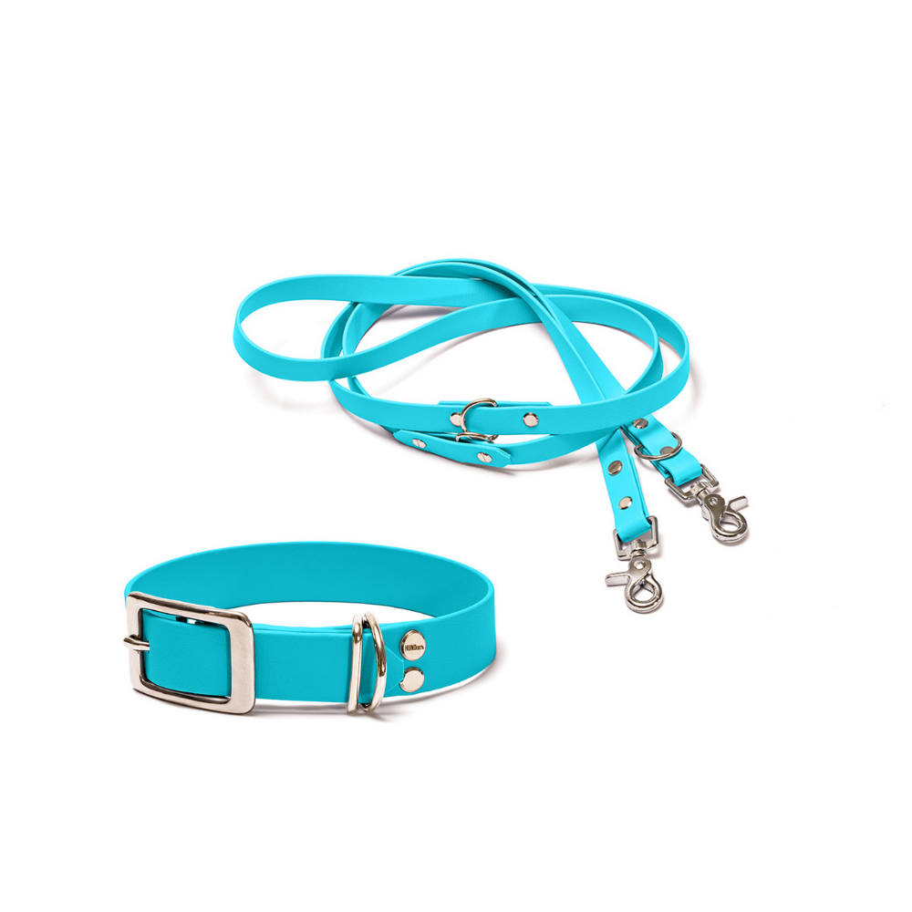 Halsband 25mm und verstellbare Hundeleine 16mm + 19mm aus BioThane in Hellblau – Modell Himmel, robust, 100% wasserfest und pflegeleicht, von Hundert Prozent, mit Beschlägen in Silber