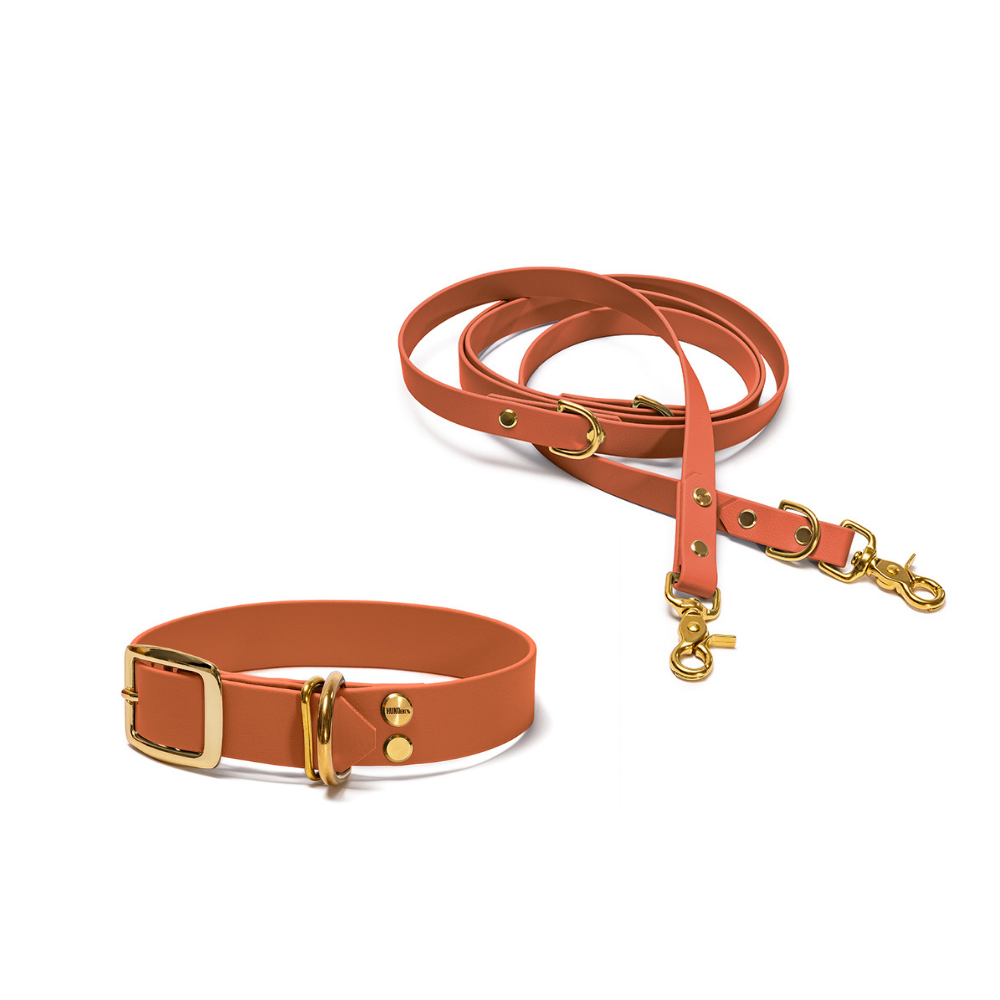 Halsband 25mm und verstellbare Hundeleine 16mm + 19mm aus BioThane in Karamell – Modell Karamell, robust, 100% wasserfest und pflegeleicht, von Hundert Prozent, mit Beschlägen in Gold