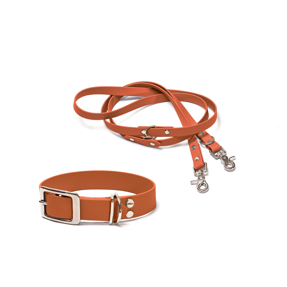 Halsband 25mm und verstellbare Hundeleine 16mm + 19mm aus BioThane in Karamell – Modell Karamell, robust, 100% wasserfest und pflegeleicht, von Hundert Prozent, mit Beschlägen in Silber