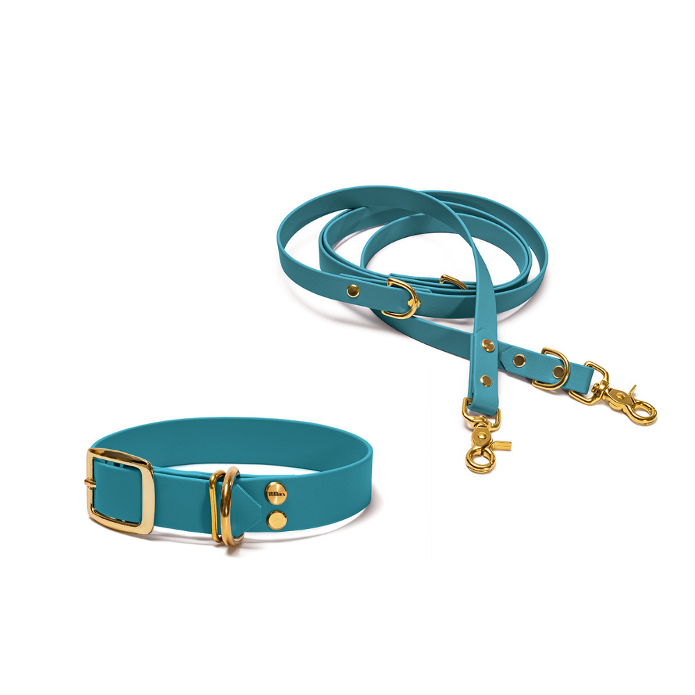 Halsband 25mm und verstellbare Hundeleine 16mm + 19mm aus BioThane in Türkis – Modell Lagune, robust, 100% wasserfest und pflegeleicht, von Hundert Prozent, mit Beschlägen in Gold