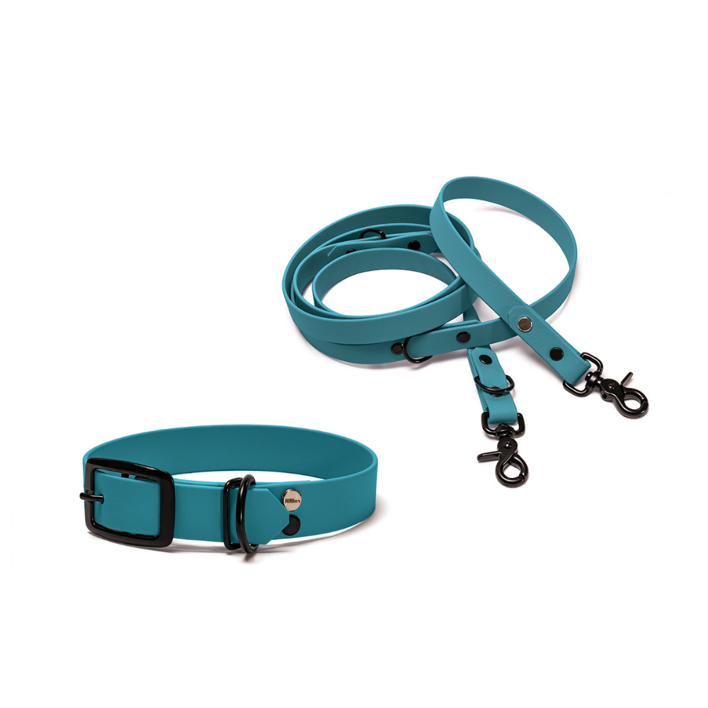 Halsband 25mm und verstellbare Hundeleine 16mm + 19mm aus BioThane in Türkis – Modell Lagune, robust, 100% wasserfest und pflegeleicht, von Hundert Prozent, mit Beschlägen in Schwarz
