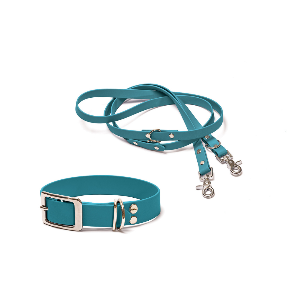 Halsband 25mm und verstellbare Hundeleine 16mm + 19mm aus BioThane in Türkis – Modell Lagune, robust, 100% wasserfest und pflegeleicht, von Hundert Prozent, mit Beschlägen in Silber