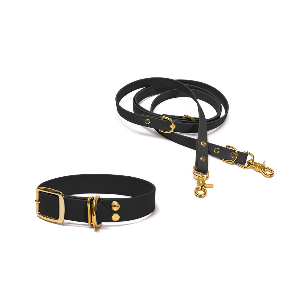 Halsband 25mm und verstellbare Hundeleine 16mm + 19mm aus BioThane in Schwarz – Modell Nachtschwarz, robust, 100% wasserfest und pflegeleicht, von Hundert Prozent, mit Beschlägen in Gold
