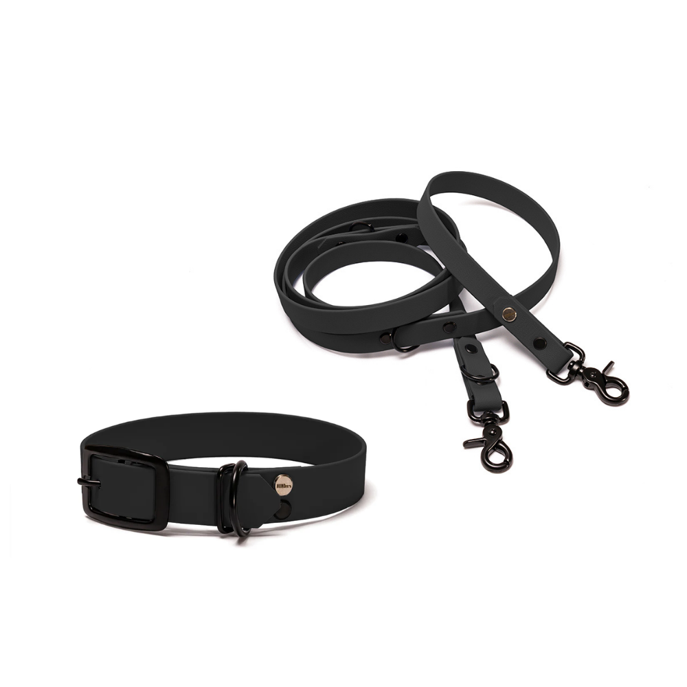 Halsband 25mm und verstellbare Hundeleine 16mm + 19mm aus BioThane in Schwarz – Modell Nachtschwarz, robust, 100% wasserfest und pflegeleicht, von Hundert Prozent, mit Beschlägen in Schwarz