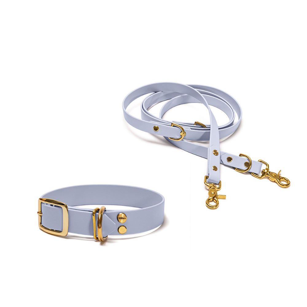 Halsband 25mm und verstellbare Hundeleine 16mm + 19mm aus BioThane in Polar – Modell Polarblau, robust, 100% wasserfest und pflegeleicht, von Hundert Prozent, mit Beschlägen in Gold