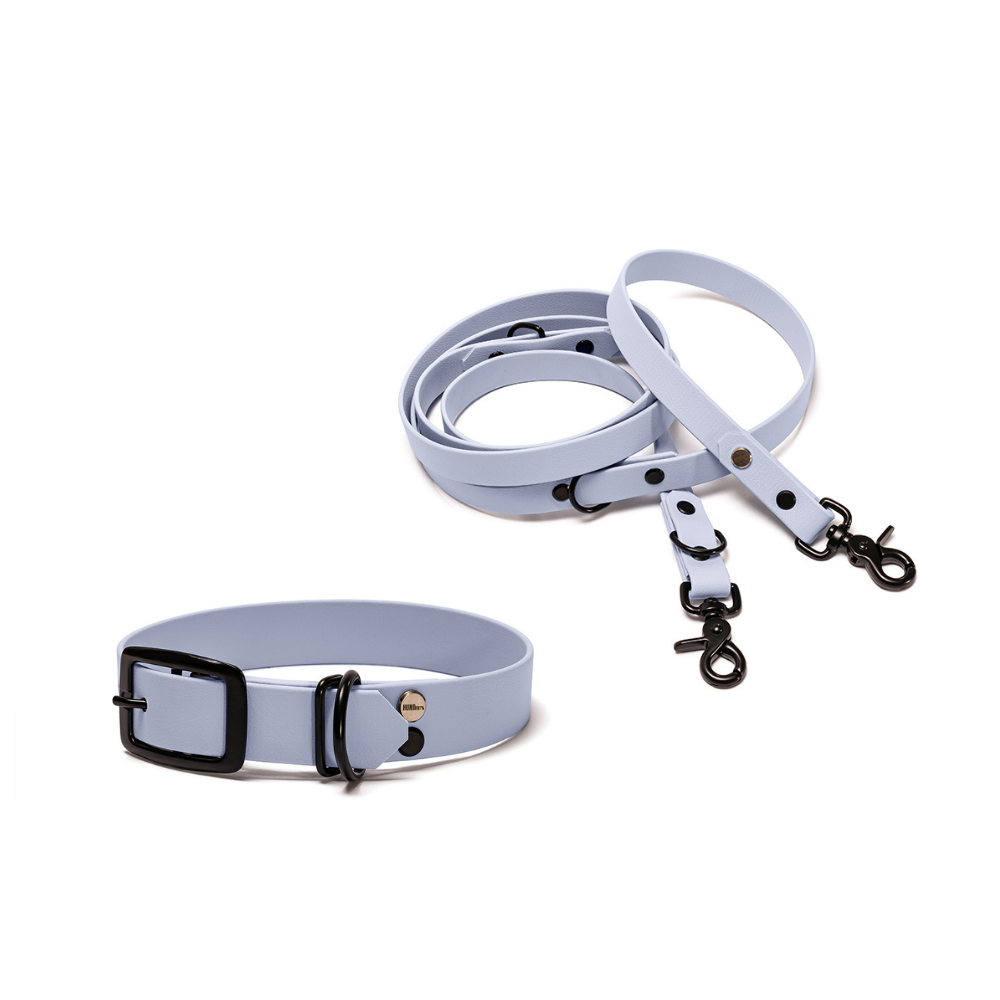 Halsband 25mm und verstellbare Hundeleine 16mm + 19mm aus BioThane in Polar – Modell Polarblau, robust, 100% wasserfest und pflegeleicht, von Hundert Prozent, mit Beschlägen in Schwarz