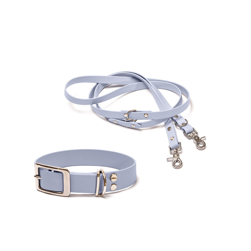 Halsband 25mm und verstellbare Hundeleine 16mm + 19mm aus BioThane in Polar – Modell Polarblau, robust, 100% wasserfest und pflegeleicht, von Hundert Prozent, mit Beschlägen in Silber