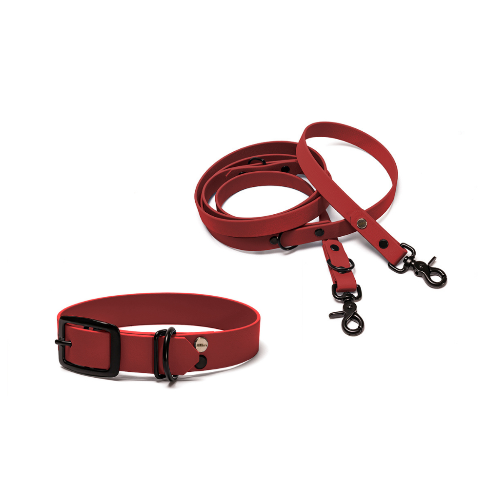 Halsband 25mm und verstellbare Hundeleine 16mm + 19mm aus BioThane in Rot – Modell Rubinrot, robust, 100% wasserfest und pflegeleicht, von Hundert Prozent, mit Beschlägen in Schwarz