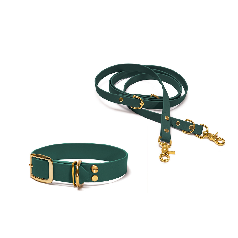 Halsband 25mm und verstellbare Hundeleine 16mm + 19mm aus BioThane in Dunkelgrün – Modell Tannenzauber, robust, 100% wasserfest und pflegeleicht, von Hundert Prozent, mit Beschlägen in Gold