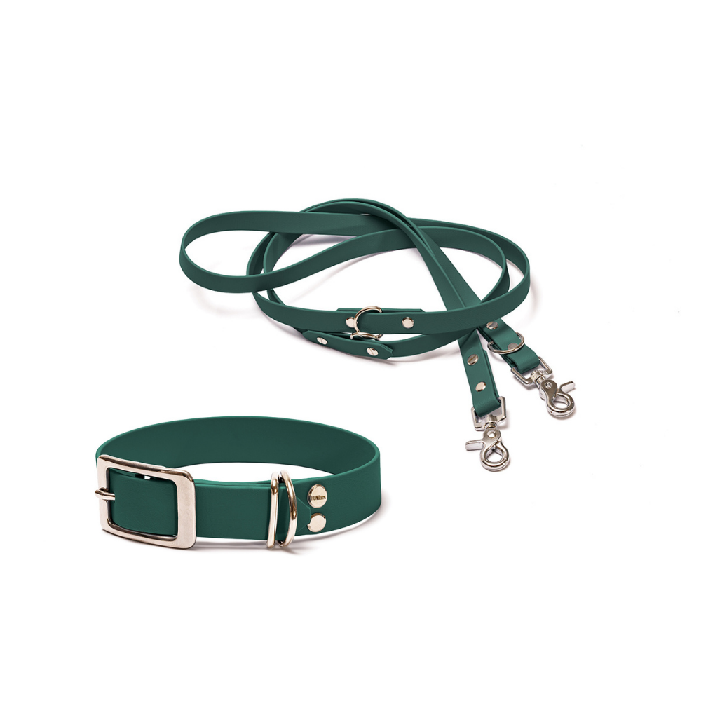 Halsband 25mm und verstellbare Hundeleine 16mm + 19mm aus BioThane in Dunkelgrün – Modell Tannenzauber, robust, 100% wasserfest und pflegeleicht, von Hundert Prozent, mit Beschlägen in Silber