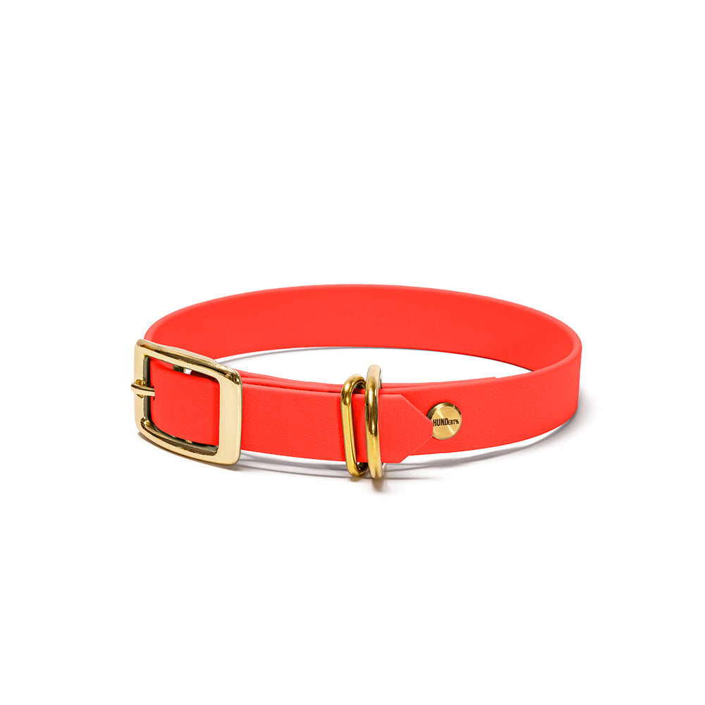 Hundehalsband aus BioThane in Orange – Modell Feuerfunke, 16mm & 19mm mit Beschlägen in Gold