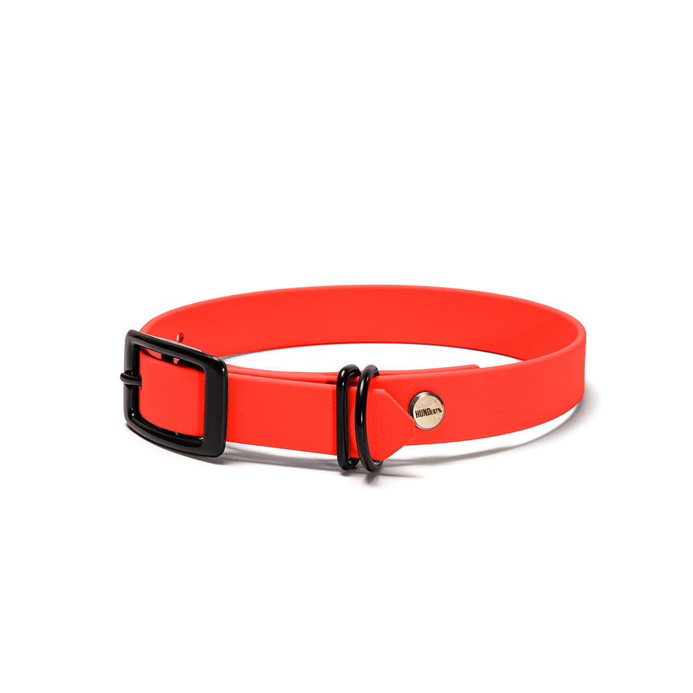 Hundehalsband aus BioThane in Orange – Modell Feuerfunke, 16mm & 19mm mit Beschlägen in Schwarz