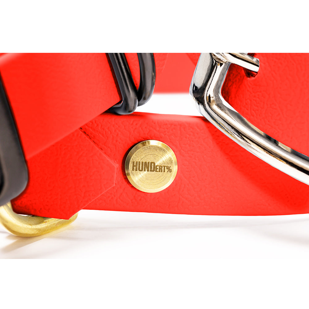 Hundehalsband aus BioThane in Orange – Modell Feuerfunke, robust und wasserfest, detail