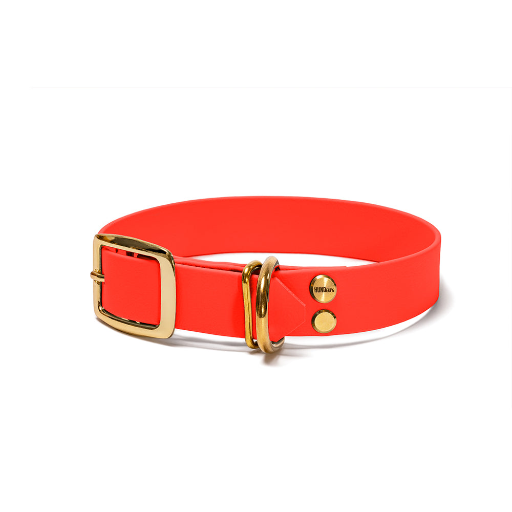 Hundehalsband aus BioThane in Orange – Modell Feuerfunke, robust und wasserfest, gold