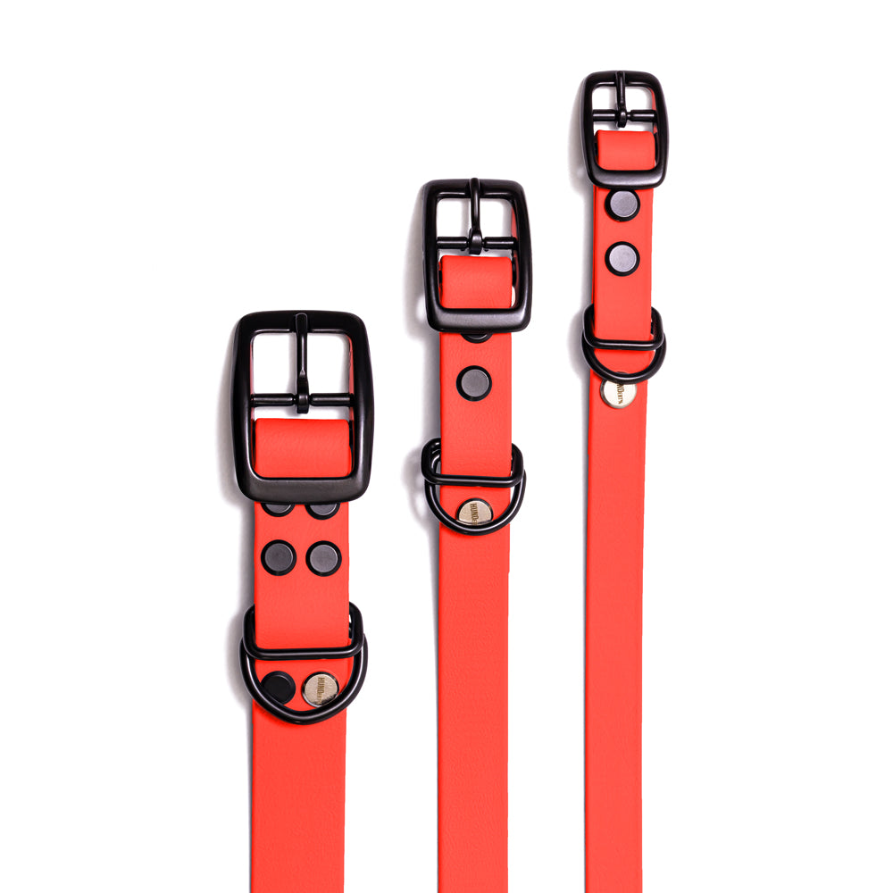 Hundehalsband aus BioThane in Orange – Modell Feuerfunke, robust und wasserfest, schwarz