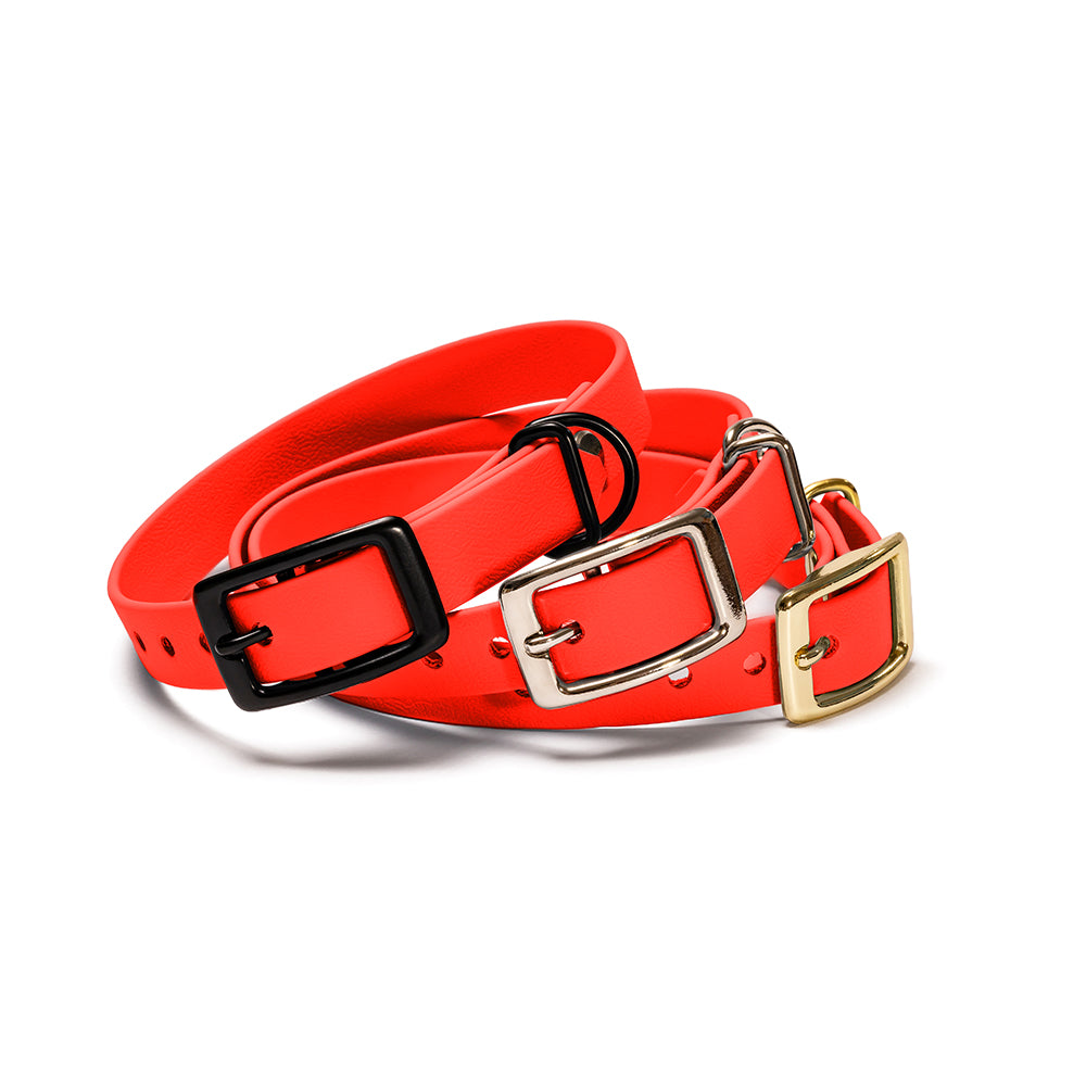 Hundehalsband aus BioThane in Orange – Modell Feuerfunke, robust und wasserfest, schwarz, silber, gold