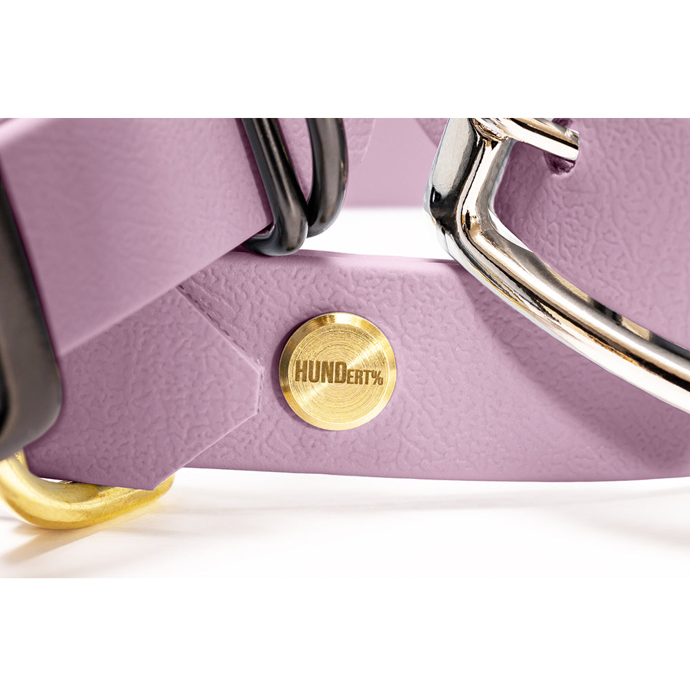 Hundehalsband aus BioThane in Flieder – Modell Fliederwolke, robust und wasserfest, detail