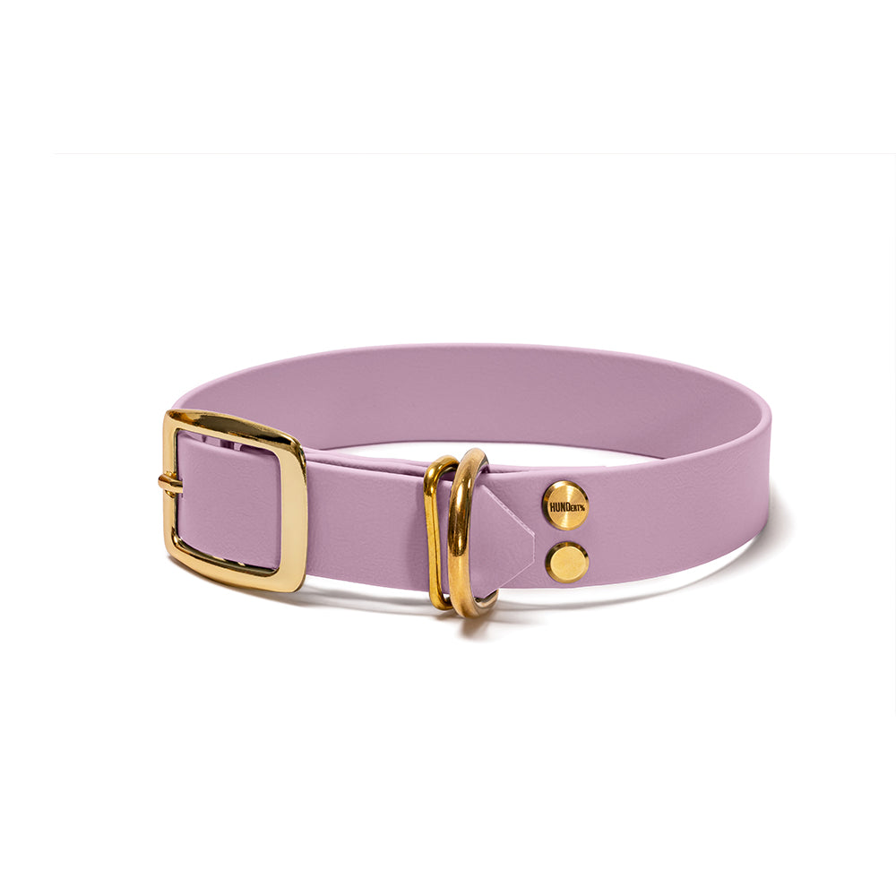 Hundehalsband aus BioThane in Flieder – Modell Fliederwolke, robust und wasserfest, gold