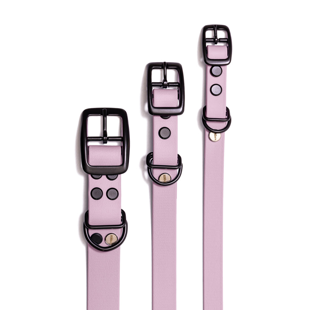 Hundehalsband aus BioThane in Flieder – Modell Fliederwolke, robust und wasserfest