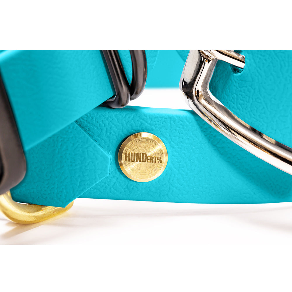 Hundehalsband aus BioThane in Hellblau – Modell Himmel, robust und wasserfest, detail