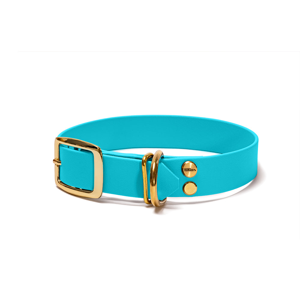 Hundehalsband aus BioThane in Hellblau – Modell Himmel, robust und wasserfest, gold