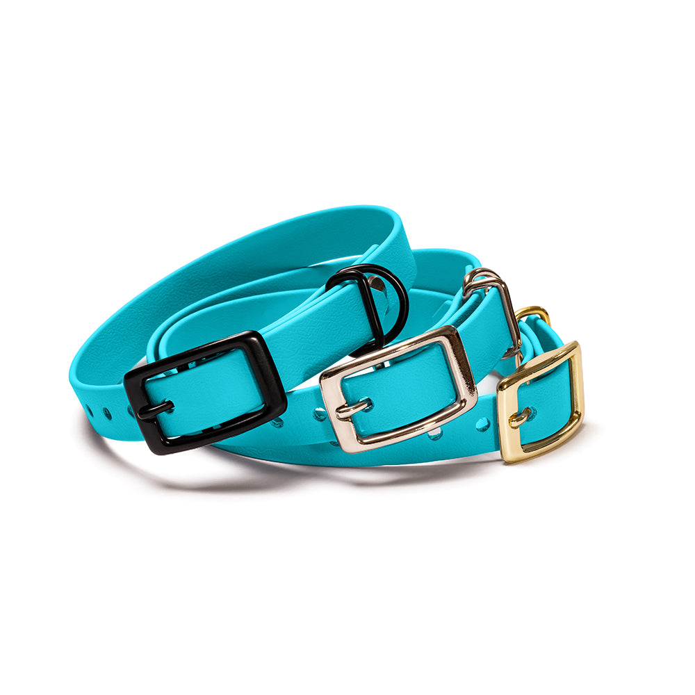 Hundehalsband aus BioThane in Hellblau – Modell Himmel, robust und wasserfest, schwarz-silber-gold