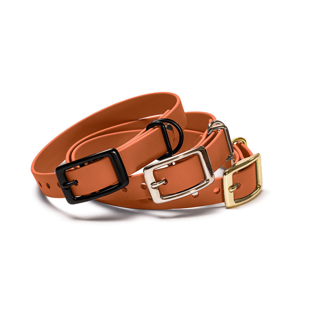 Hundehalsband aus BioThane in Karamellbraun – Modell Karamell, robust und wasserfest, gold, schwarz, silber