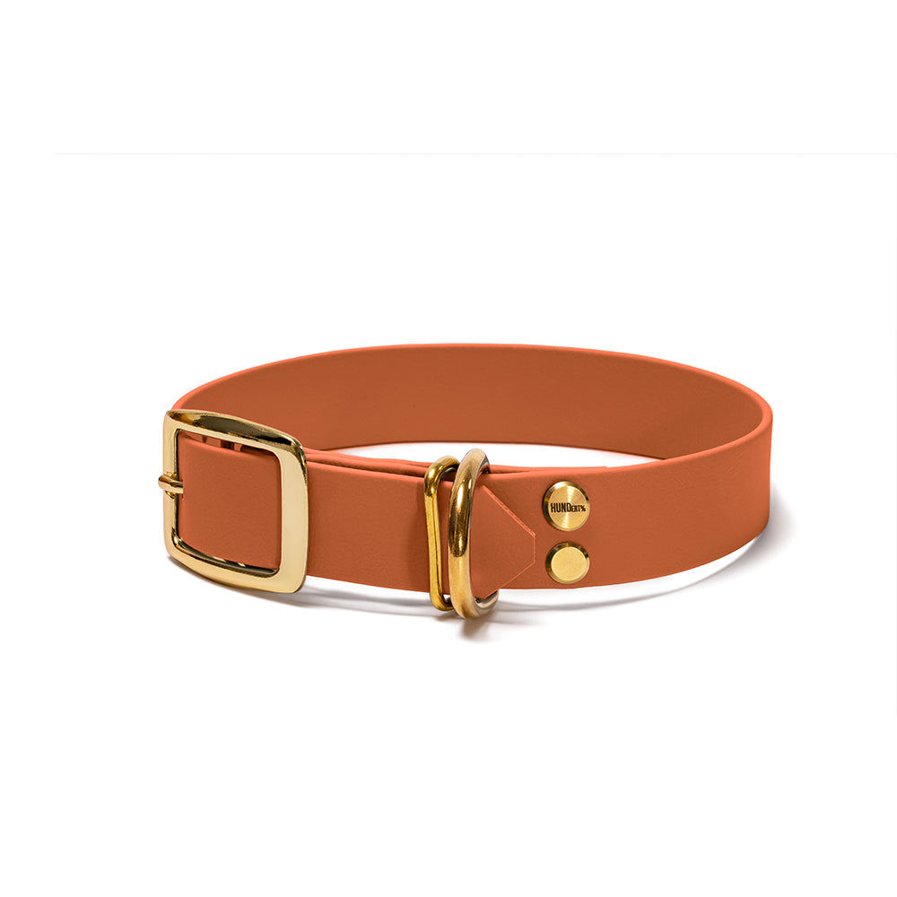 Hundehalsband aus BioThane in Karamellbraun – Modell Karamell, robust und wasserfest, gold