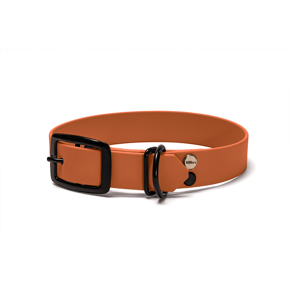 Hundehalsband aus BioThane in Karamellbraun – Modell Karamell, robust und wasserfest, schwarz 