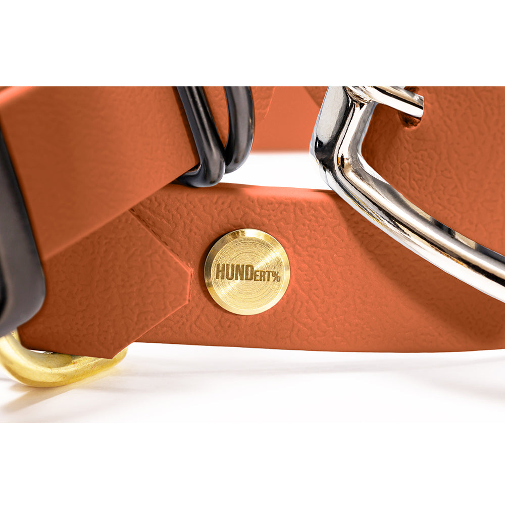 Hundehalsband aus BioThane in Karamell – Modell Karamell, robust und wasserfest, detail