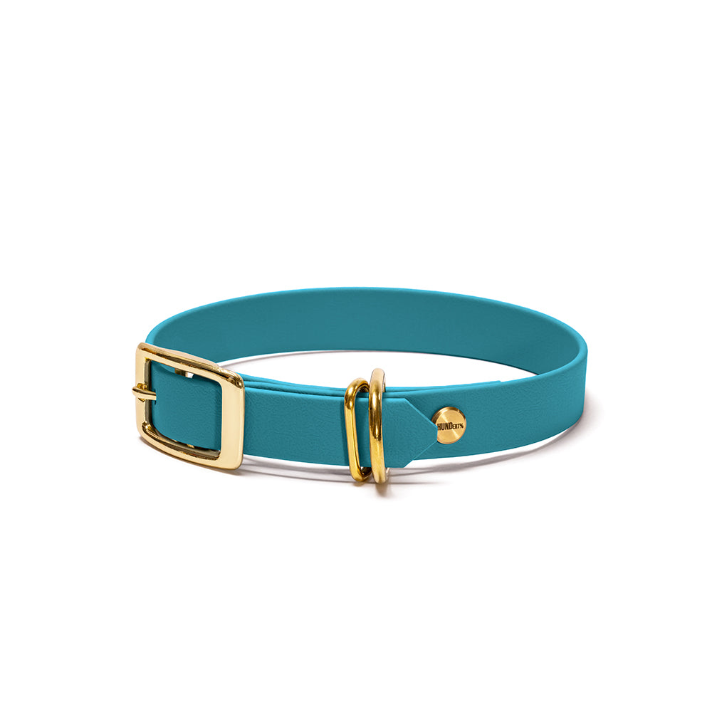 Hundehalsband aus BioThane in Türkis – Modell Lagune, 16mm & 19mm mit Beschlägen in Gold
