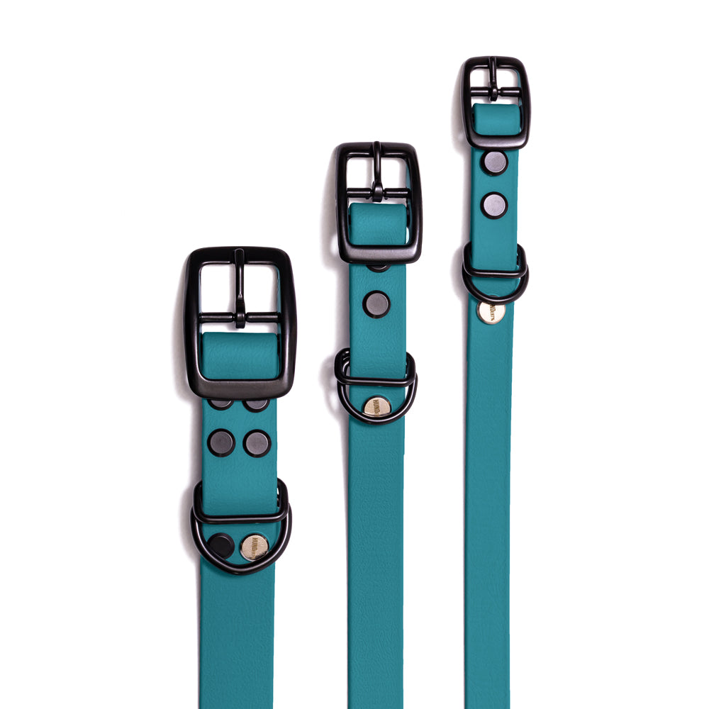 Hundehalsband aus BioThane in Türkis – Modell Lagune, robust und wasserfest, 25mm, 19mm, 16mm