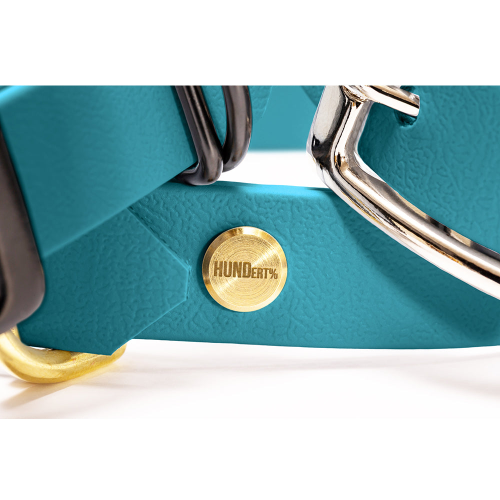 Hundehalsband aus BioThane in Türkis – Modell Lagune, robust und wasserfest, detail