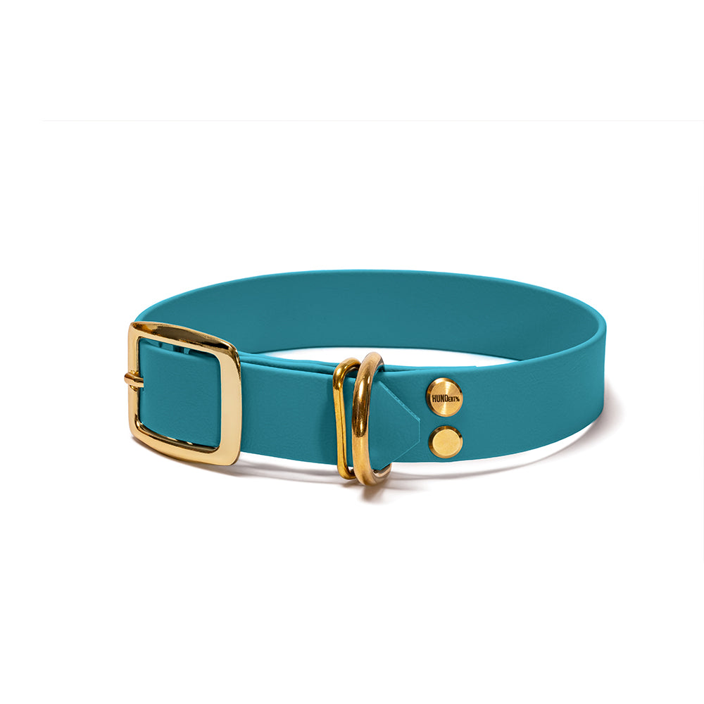 Hundehalsband aus BioThane in Türkis – Modell Lagune, robust und wasserfest, gold